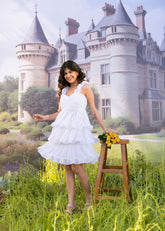 White Georgette Ruffle Frill Dress